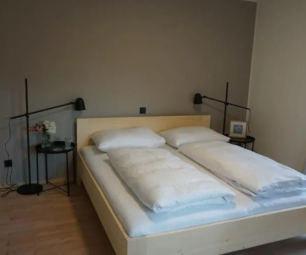 Apartment Haus Mit 6 Schlafzimmer, Pool Und Grossem Garten Mader